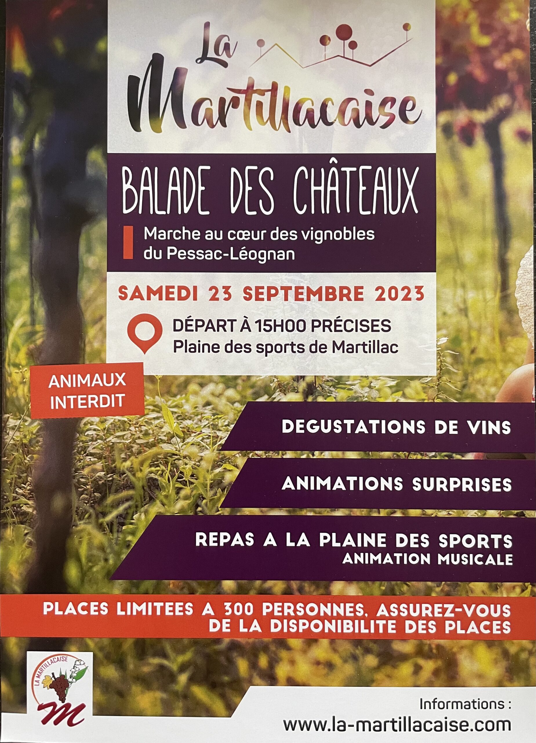 Balade des Châteaux