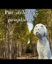 Pièce de Théâtre : Par-delà les peupliers