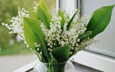 Arrêté municipal portant sur la vente du muguet sur la voie publique, le jour du 1er mai