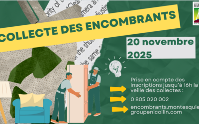Prochaine collecte des encombrants