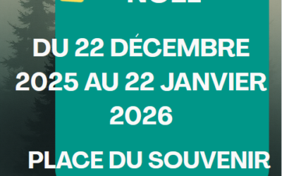 Dépôt des sapins de Noël