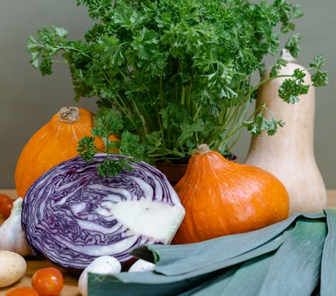 VENTE DE PLANTS DE LÉGUMES, AROMATIQUES ET FLEURS
