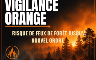 Vigilance ORANGE – Risque feux de forêt – 03 août 2026 à partir de 19h