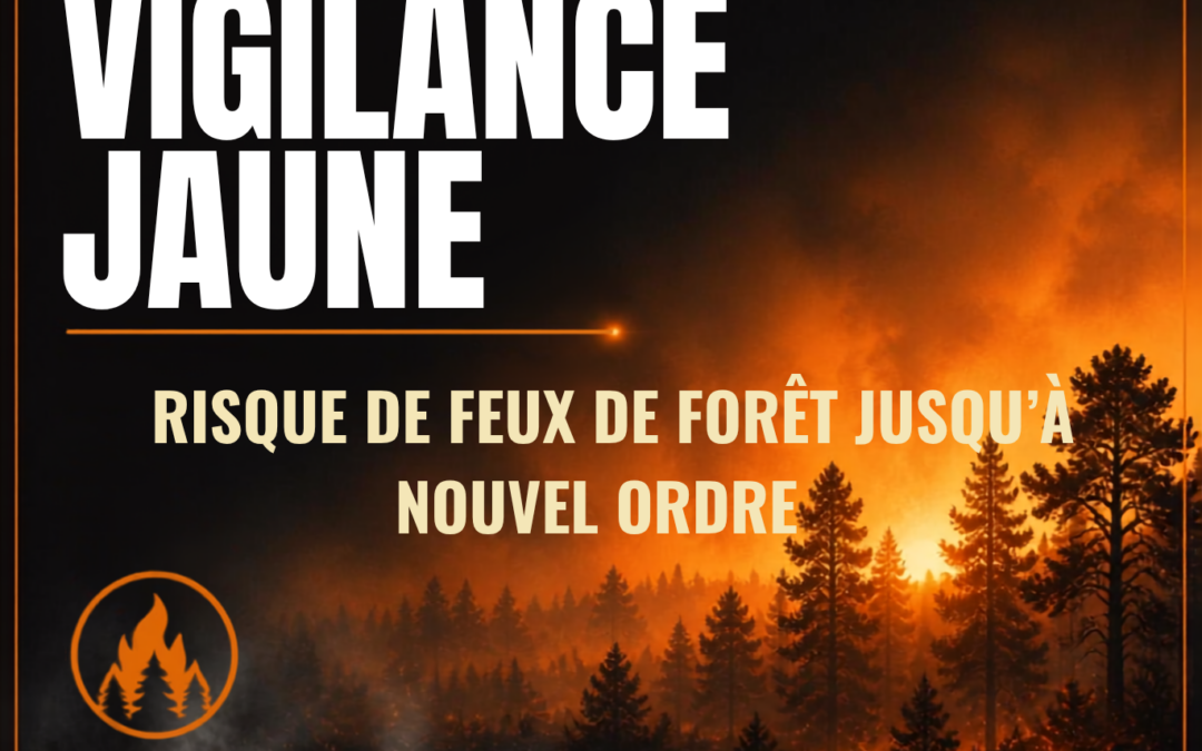 Le niveau de vigilance est redescendu au niveau jaune – feux de forêt