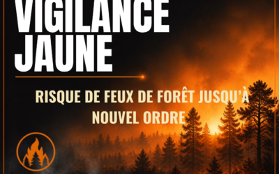 Le niveau de vigilance est redescendu au niveau jaune – feux de forêt